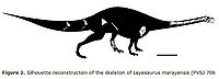 Leyesaurus.jpg