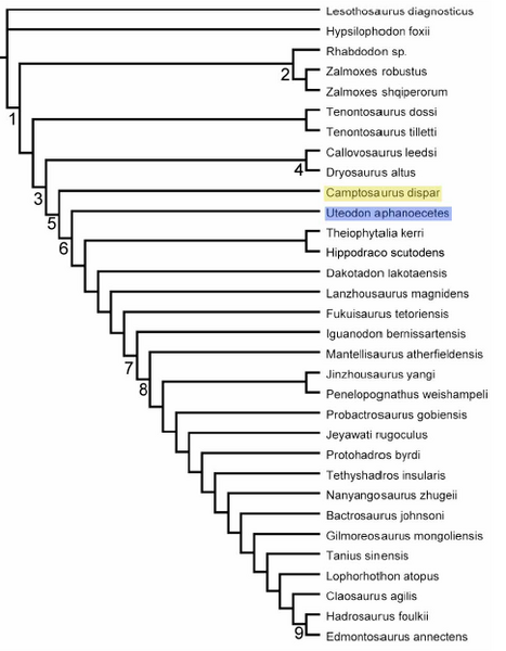 Plik:McDonald 2011.PNG