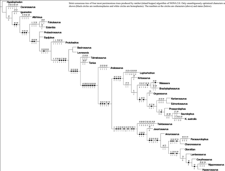 Plik:Sues i Averianov 2009.PNG