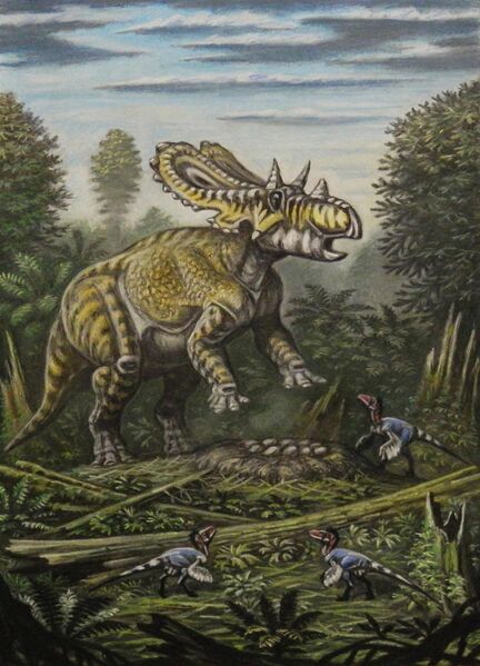 Plik:Mercuriceratops by ABelov2014.jpg
