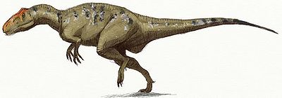 Sinraptor Edyta Felcyn.jpg