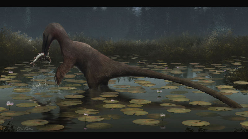 Plik:Austroraptor nenufares by chrismasna.jpg