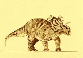 Medusaceratops2.jpg