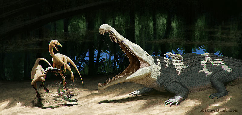 Plik:Redonda celo.jpg