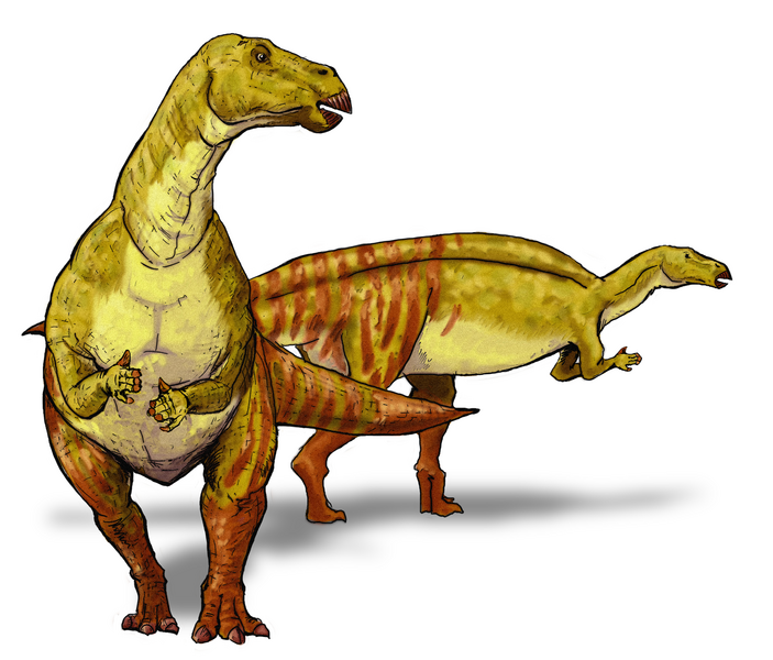 Plik:Nanyangosaurus.png