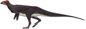 Doolysaurus huhmini.png