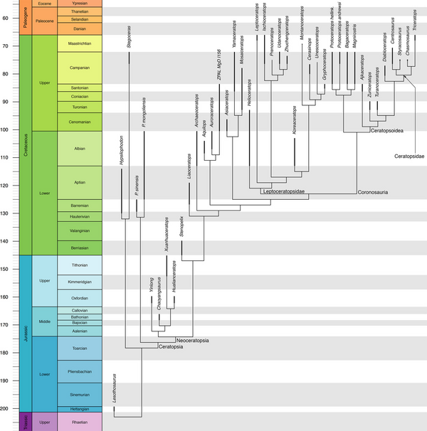Morschhauser i in., 2019.png