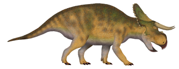 Nasutoceratops UDL.png