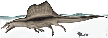 Spinosaurus aegyptiacus 2015 by delirio88-d8e86yo.jpg