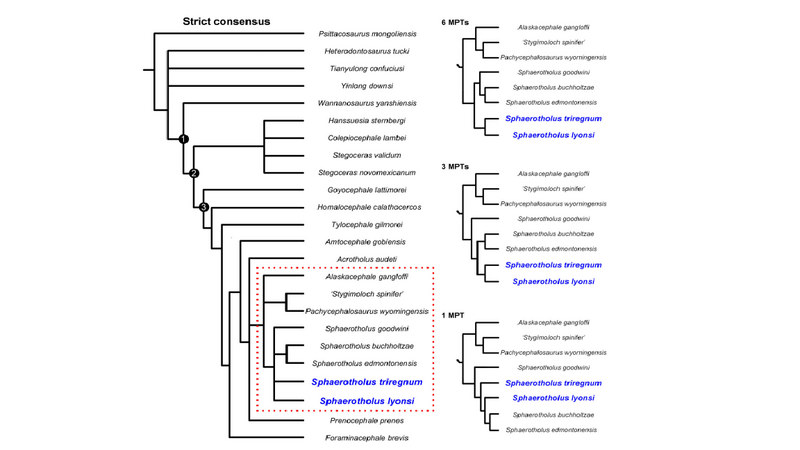 Plik:Woodruff et all 2023.png