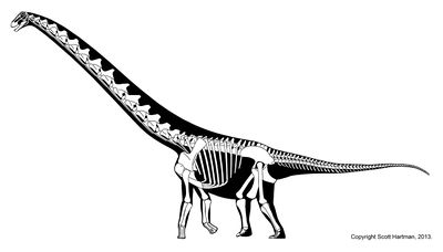 Rapetosaurus Hartman.jpg