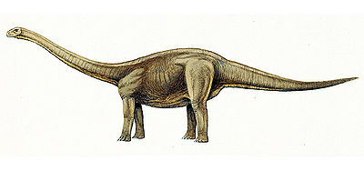 Amygdalodon.jpg