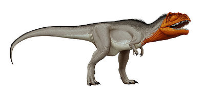 Mapusaurus Edyta Felcyn.jpg