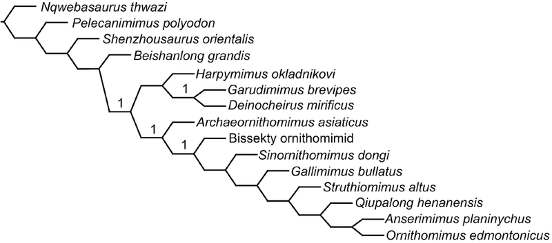 Plik:Sues i Averianov 2016 Ornithomimidae Bissekty Frm zm..png