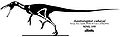 Austroraptor2.jpg
