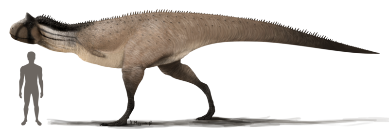 Plik:Carnotaurus sastrei by anto009.png