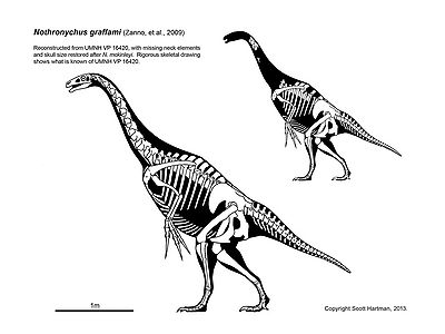 Nothronychus graffami Scott Hartman.jpg