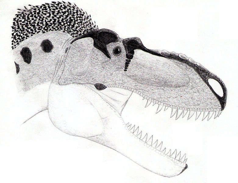 Plik:Old albertosaurus by pilsator.jpg