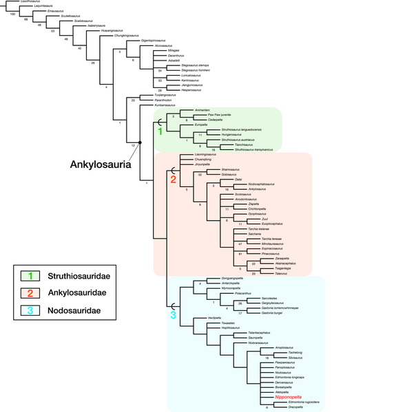 Plik:Ankylosauria Oyabu et al 2026-1.png