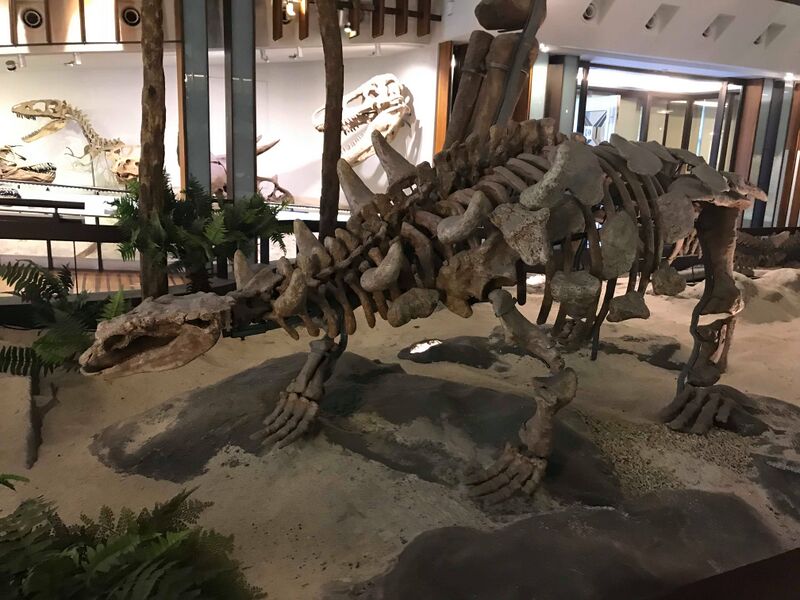Plik:Zhongyuansaurus05.jpg