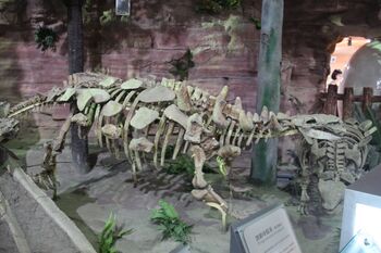 Zhongyuansaurus luoyangensis.jpg