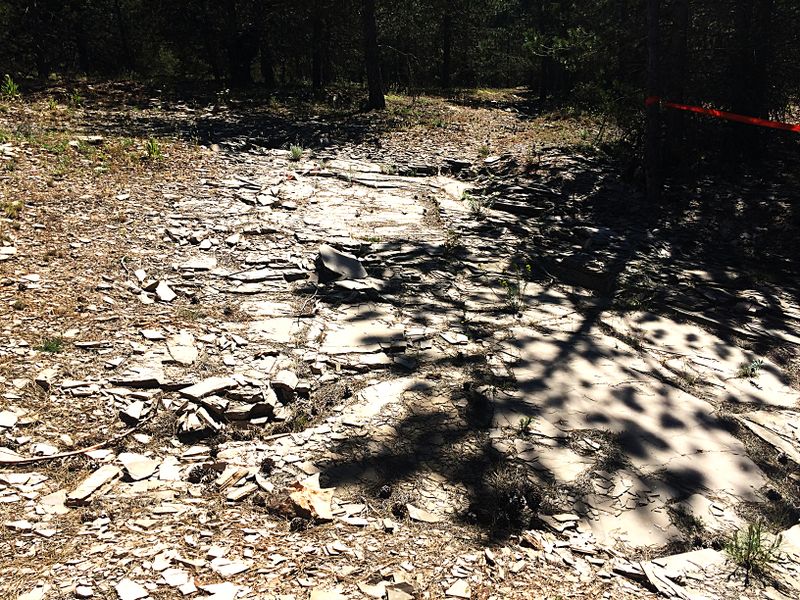 Plik:Concavenator site Czepinski.jpg