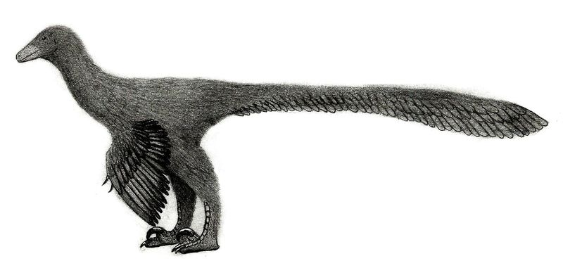 Plik:Dinovember 2 boreonykus by levibernardo13.jpg