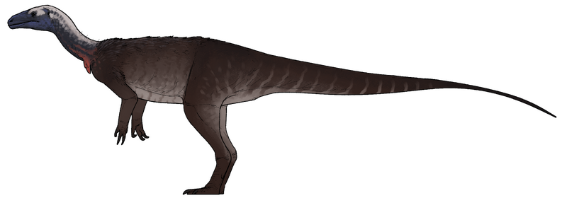 Plik:Huayracursor jaguensis.png