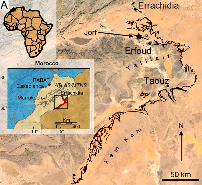 Plik:Geographical location and stratigraphy of the Kem Kem beds.PNG