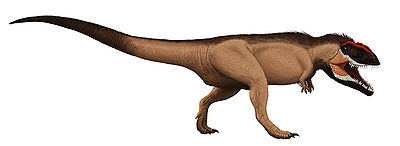 Giganotosaurus Edyta Felcyn.jpg