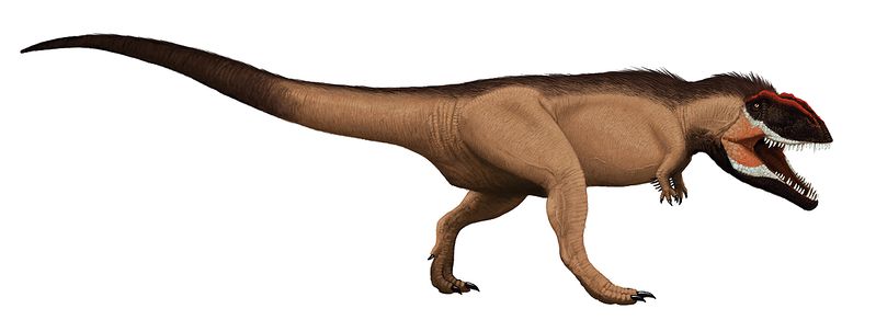 Plik:Giganotosaurus Edyta Felcyn.jpg
