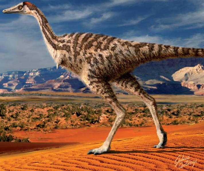 Plik:Linhenykus J.Csotonyi APP mini.PNG