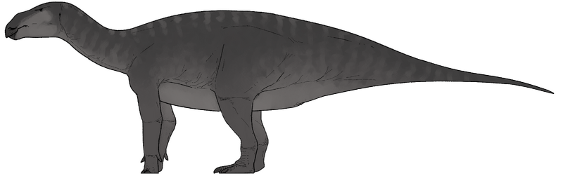 Plik:Paulodon galvensis.png.png