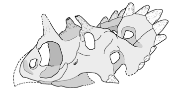 Regaliceratops.png