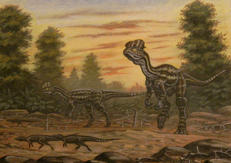 Plik:Dilophosaurus scutellosaurus by abelov2014-d8ijf5a.jpg