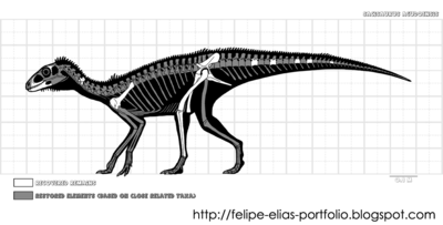 Sacisaurus.png