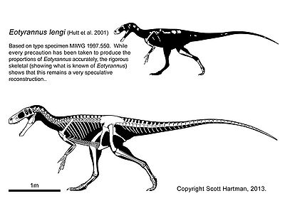 Eotyrannus Scott Hartman.jpg