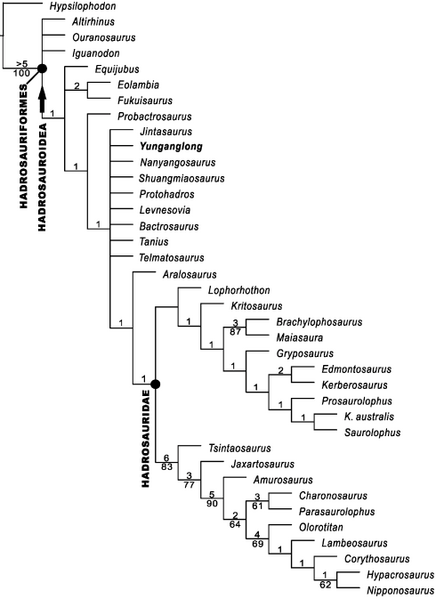 Plik:Wang i in. 2013 Yunganglong.png