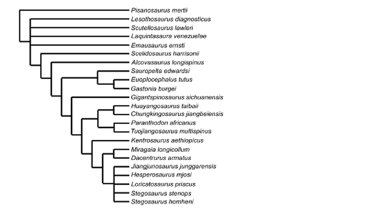 Raven&Maidment 2017.png