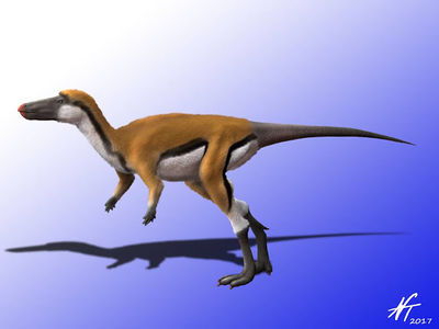 Isaberrysaura NT.jpg