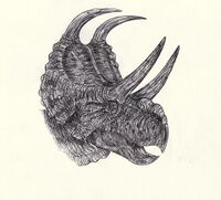 Machairoceratops cronusi.jpg