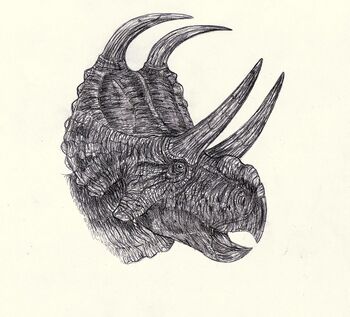 Machairoceratops cronusi.jpg