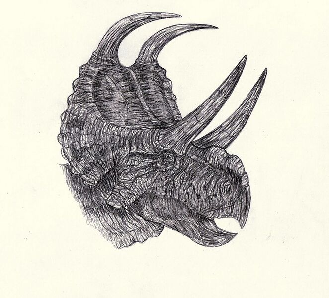 Plik:Machairoceratops cronusi.jpg