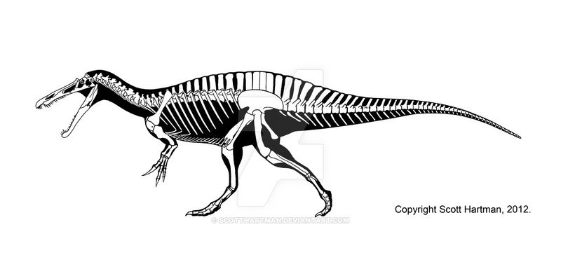 Plik:African fisher by scotthartman-d3ayhec.jpg