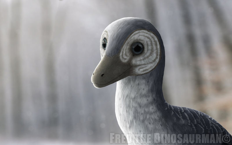 Plik:Troodon morning by fredthedinosaurman-d8ng8py.jpg