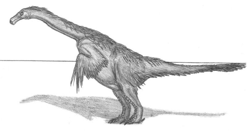 Plik:Nanshiungosaurus brevispinus.jpg