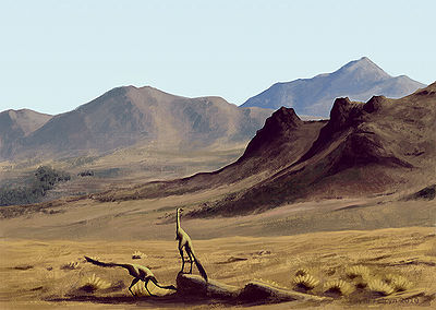 Mononyki Edyta Felcyn.jpg