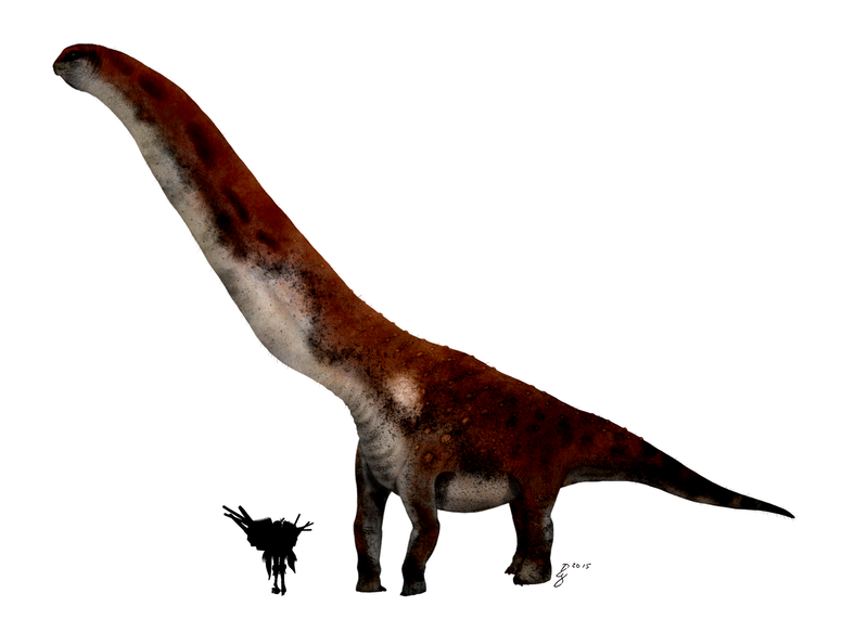 Plik:Dreadnoughtus schrani by traheripteryx.png
