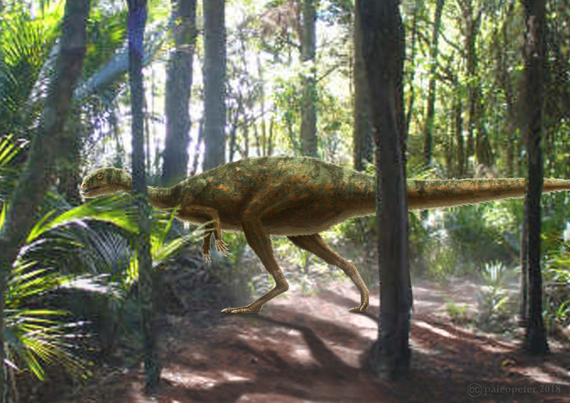 Plik:Dryosaurus by paleopeter.jpg