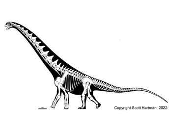 Futalognkosaurus by Scott Hartman.jpg